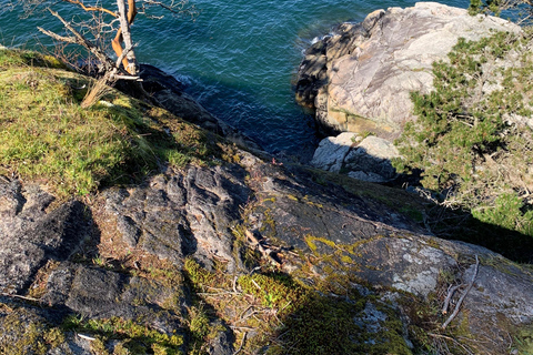 Vancouver: Lighthouse Park HikeLighthouse Park Hike