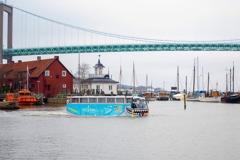 Göteborg: Sightseeingtour met amfibische bus over land en water