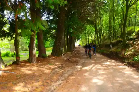 Parque Nacional da Peneda Gerês: Tour guiado em bicicleta eléctrica