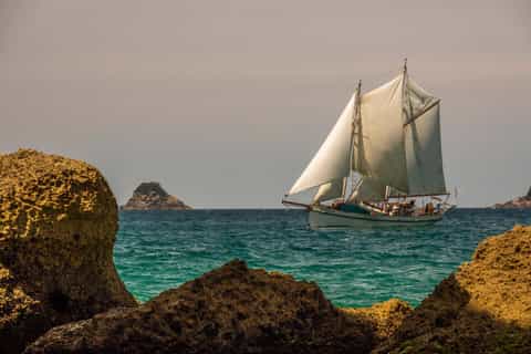 Whitianga: Sailing Trip to Great Mercury Island with Lunch