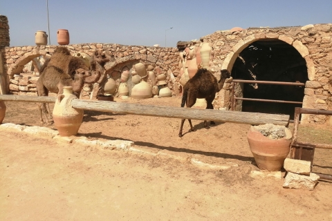 Djerba: Pottery Village en Heritage Museum Tour
