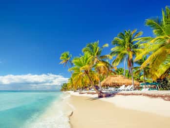 Bayahibe: Full-Day Saona Island Excursion