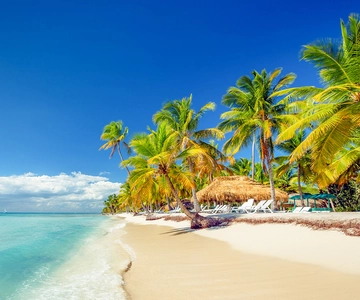 Bayahibe: Full-Day Saona Island Excursion