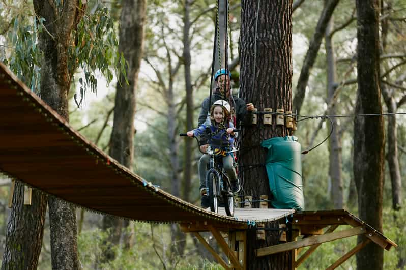 Busselton: Forest Adventure with Zip Lining and Rope Course | GetYourGuide