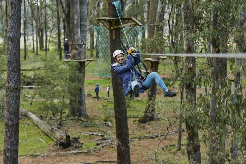 Busselton: Forest Adventure with Zip Lining and Rope Course