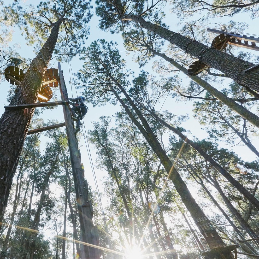 Busselton: Forest Adventure with Zip Lining and Rope Course | GetYourGuide