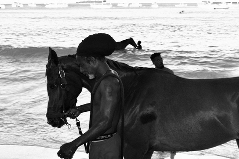 Experience Swimming Horses at Carlisle Bay & the Garrison South West Option