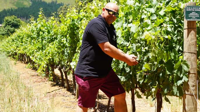 from cape town personalized stellenbosch winelands tour