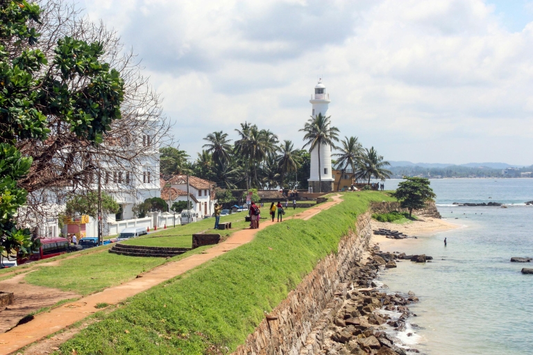 From Negombo: Southern Coast Highlights Private Day Tour