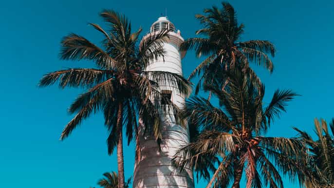from negombo southern coast highlights private day tour