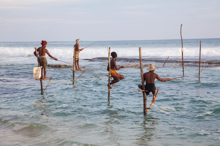 Desde Negombo: Excursión privada de un día a la costa sur