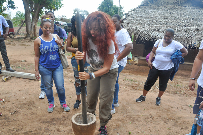 Colombo: tour di un&#039;intera giornata alla roccia e al villaggio di SigiriyaColombo: Tour di un giorno intero della roccia e del villaggio di Sigiriya