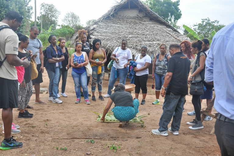 Colombo: tour di un&#039;intera giornata alla roccia e al villaggio di SigiriyaColombo: Tour di un giorno intero della roccia e del villaggio di Sigiriya