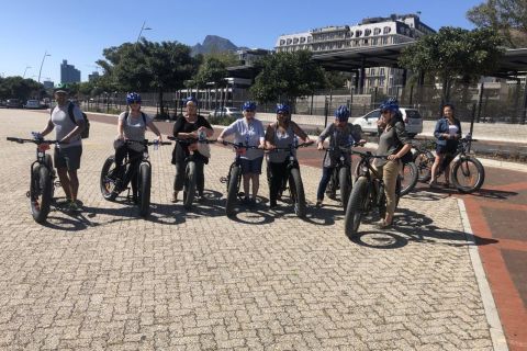 Cape Town: Half-Day e-Bike City Tour