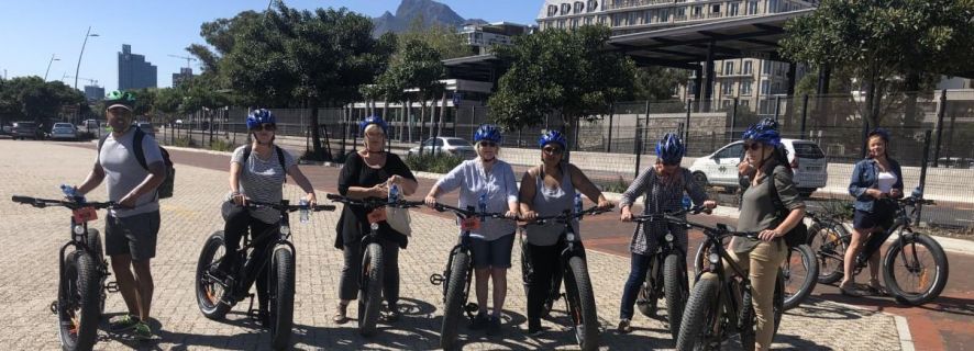 Cape Town: Half-Day e-Bike City Tour