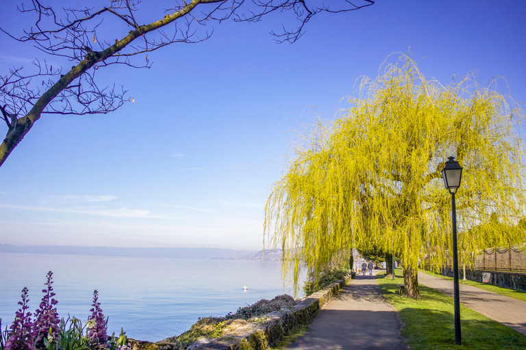 Montreux: Express Walk with a Local in 60 minutesMontreux: Express Walk with a Local