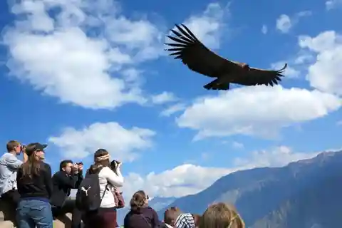 Arequipa: tour di 2 giorni del Canyon del Colca