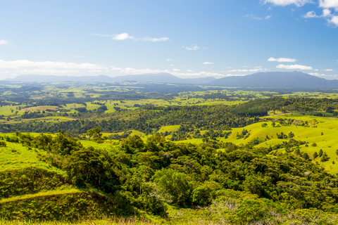 Desde Cairns: tour vinícola-culinario por la meseta Atherton