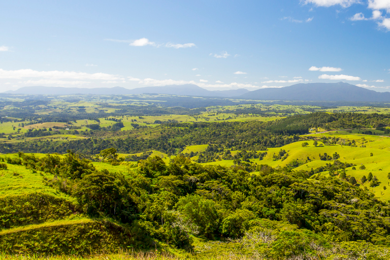 De Cairns: Degustação Vinhos e Iguarias Planalto de Atherton