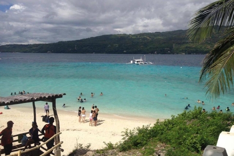 Cebú: Isla privada Sumilon y baño opcional con tiburones ballenaSumilon Island, Whale Shark Swim & Resort Entrada con almuerzo