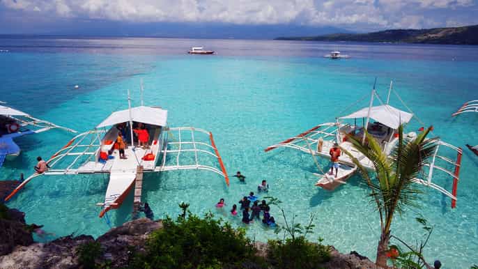 cebu private sumilon island optional whale shark swim