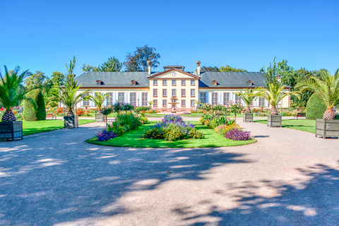 Strasbourg: 1.5-Hour Guided Segway Tour