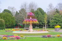 Strasbourg, 1.5-Hour Guided Segway Tour - Housity