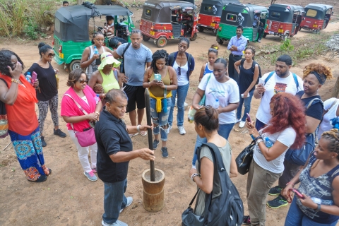 From Kandy: Sigiriya Rock, Village Tour and Minneriya Park Sigiriya Rock and Wild Elephant Safari: Private Day Tour
