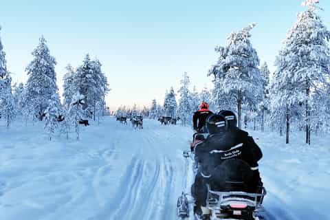 Rovaniemi: Snowmobile Tour with Reindeer Farm Experience