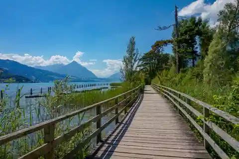 Interlaken: Express Walk with a Local in 60 minutes