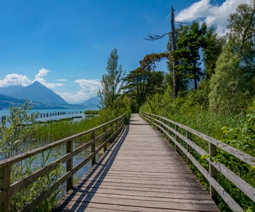 Interlaken: Express Walk with a Local in 60 minutes
