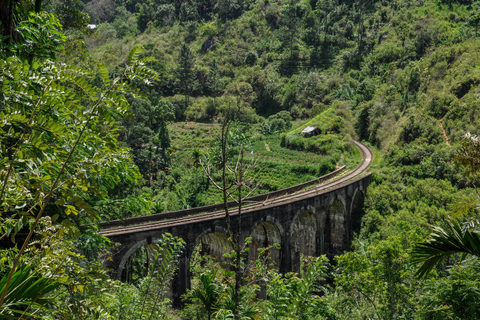 From Ella: Little Adam’s Peak and Nine Arches Bridge Hiking