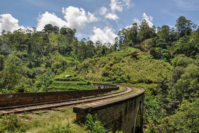 From Ella: Little Adam’s Peak and Nine Arches Bridge Hiking