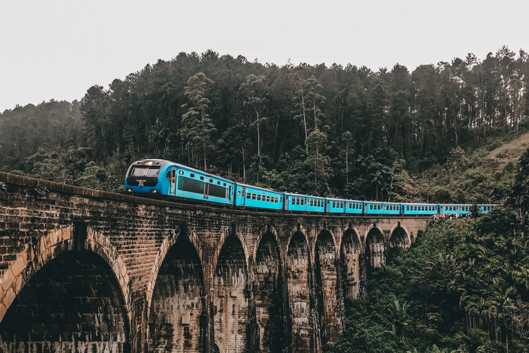 From Ella: Little Adam’s Peak and Nine Arches Bridge Hiking
