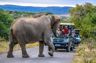Hluhluwe-Imfolozi: Ganztägige/Halbtägige Safari zu den Big 5