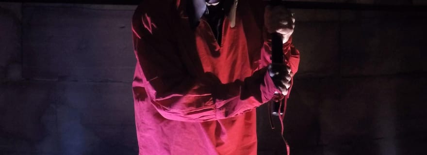 Francfort : Visite guidée effrayante avec le pendu