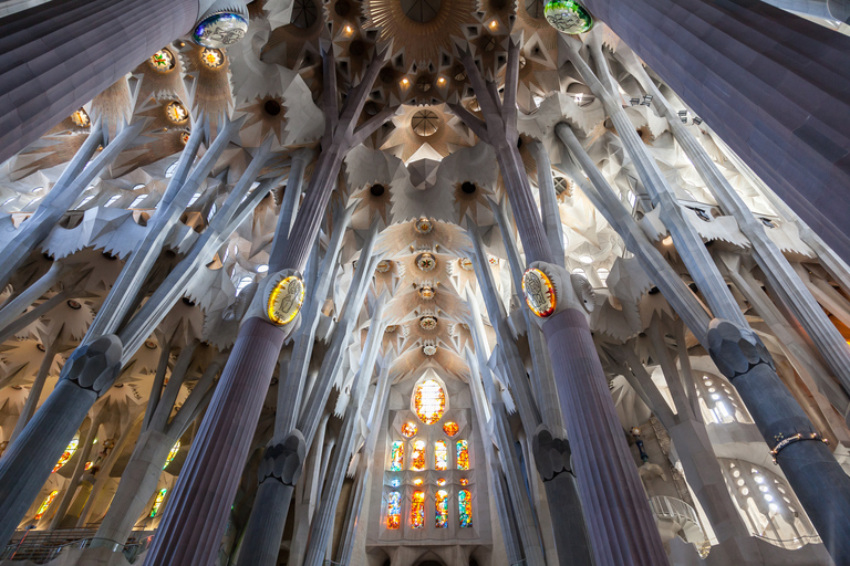 Barcelona: Small-Group Skip-the-Line Sagrada Familia Tour Tour in Spanish