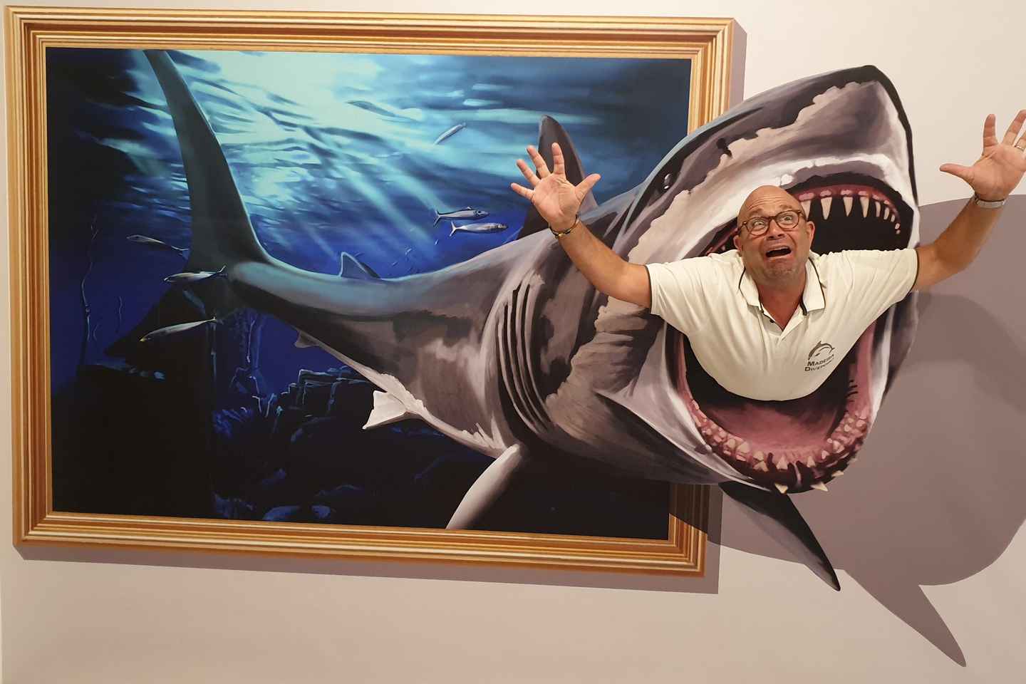 Funchal: 3D Fun Art Museum - Funchal: 3D Fun Art Museum