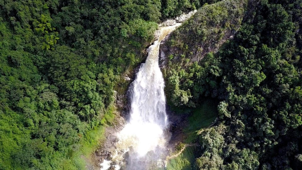 Da Medellín, amache da sogno, zipline e gita di un giorno alle cascate - Housity