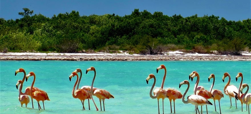 Holbox Parchi nazionali il MEGLIO del 2024 Cancellazione GRATUITA
