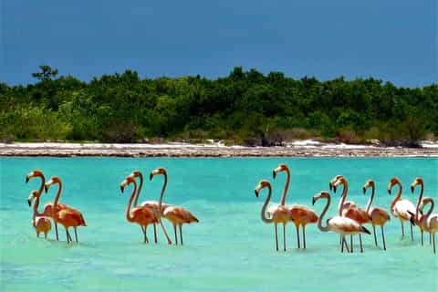 Holbox: tour de un día con almuerzo