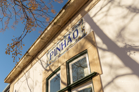 Douro Valley: Private Wine Tour with Lunch