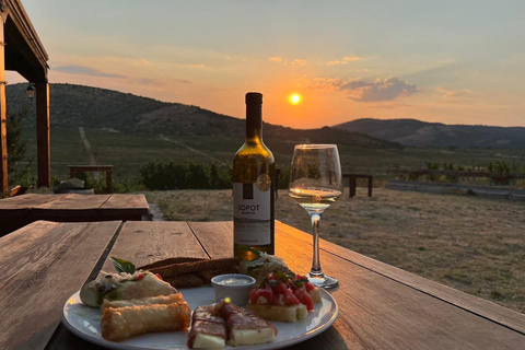 من سكوبي: زيارة وتذوق نبيذ لازار وقلعة سوبوتمن سكوبيه: زيارة وتذوق نبيذ لازار وقلعة سوبوت