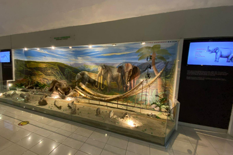 Yogyakarta : excursion en Jeep au lever du soleil sur le mont Merapi et visite du musée antiqueVisite privative tout compris