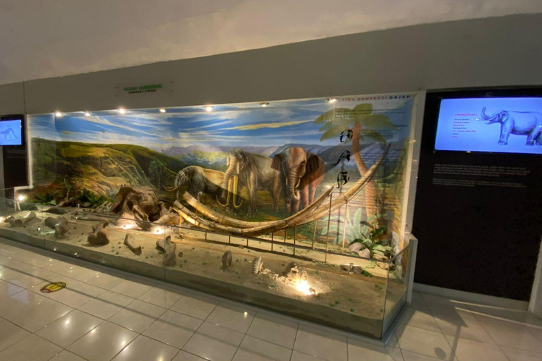 Yogyakarta : excursion en Jeep au lever du soleil sur le mont Merapi et visite du musée antiqueVisite privative tout compris