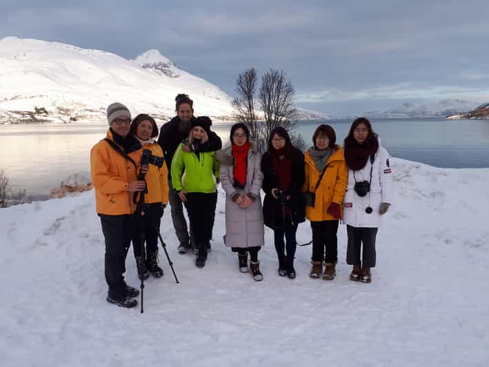 Tromsø: Arctic Landscape and Fjord Tour | GetYourGuide