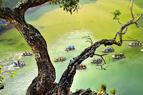 De Hanoi: excursion d'une journée à Trang An, à la grotte de Mua et à Ngoa Long