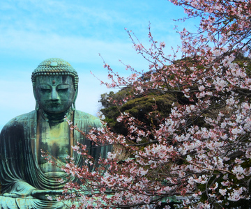 From Tokyo: Kamakura and Enoshima 1-Day Bus Tour
