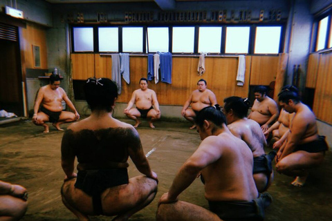 [W/ Sumo Lunch] Tokyo Sumo Morning Practice Tour in Ryogoku Tokyo: Sumo Morning Practice Tour in Ryogoku with Sumo Lunch