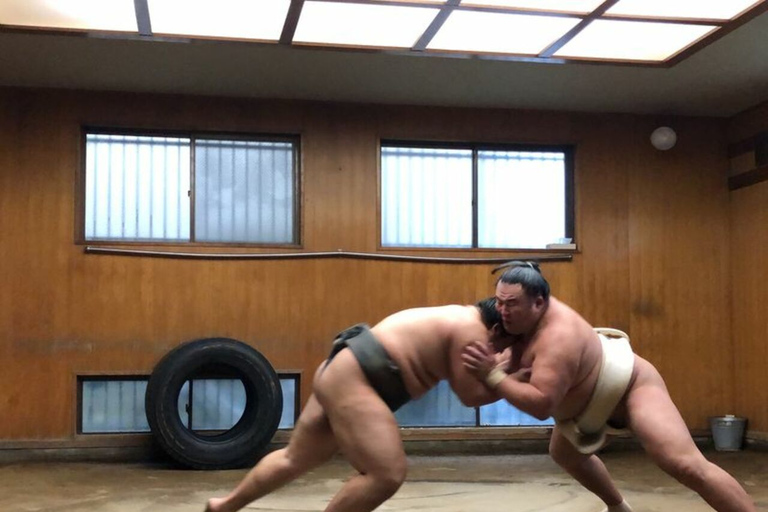 [W/ Sumo Lunch] Tokyo Sumo Morning Practice Tour in Ryogoku Tokyo: Sumo Morning Practice Tour in Ryogoku with Sumo Lunch